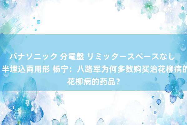 パナソニック 分電盤 リミッタースペースなし 露出・半埋込両用形 杨宁:八路军为何多数购买治花柳病的药品?