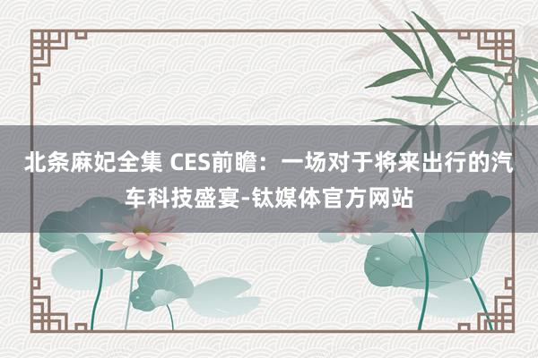 北条麻妃全集 CES前瞻:一场对于将来出行的汽车科技盛宴-钛媒体官方网站