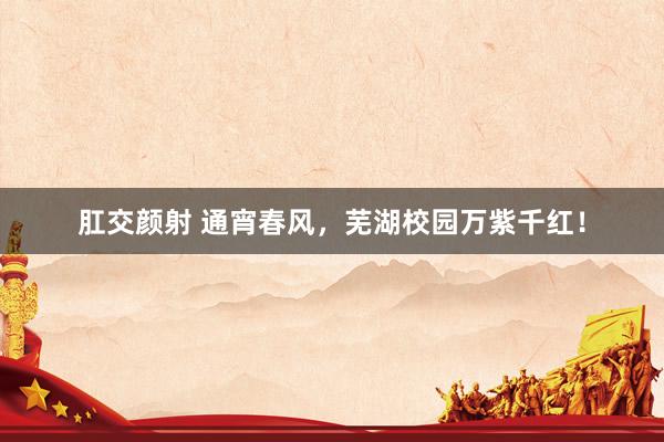 肛交颜射 通宵春风,芜湖校园万紫千红!