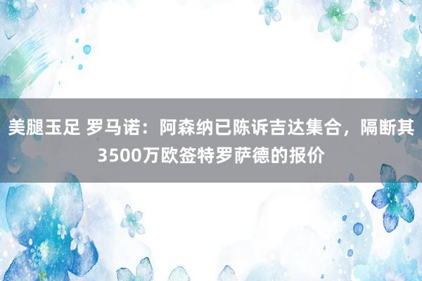 美腿玉足 罗马诺：阿森纳已陈诉吉达集合，隔断其3500万欧签特罗萨德的报价